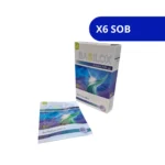 BASSILOX RUECAM DIOSMECTITA 3G X 6 SOBRES