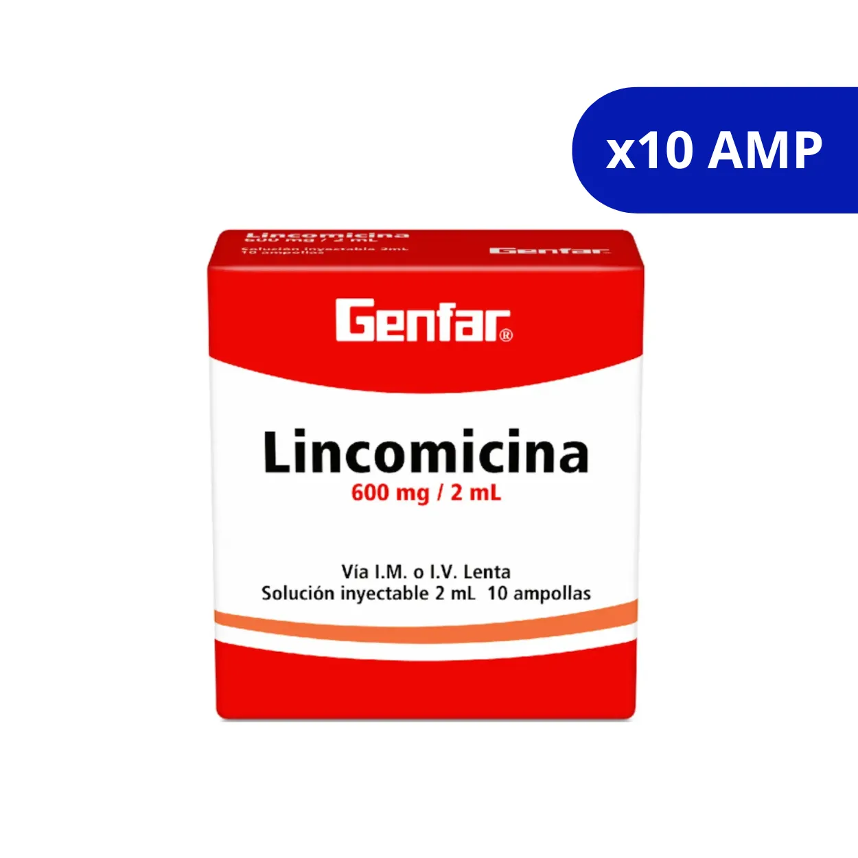 image1k2ykpelidumbbnoljc.webp LINCOMICINA GF 600 MG / 2 ML X 10 AMP - Imagen 1