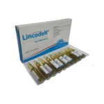 LINCODELT DELTA LINCOMICINA 600 MG X 10 AMPOLLAS
